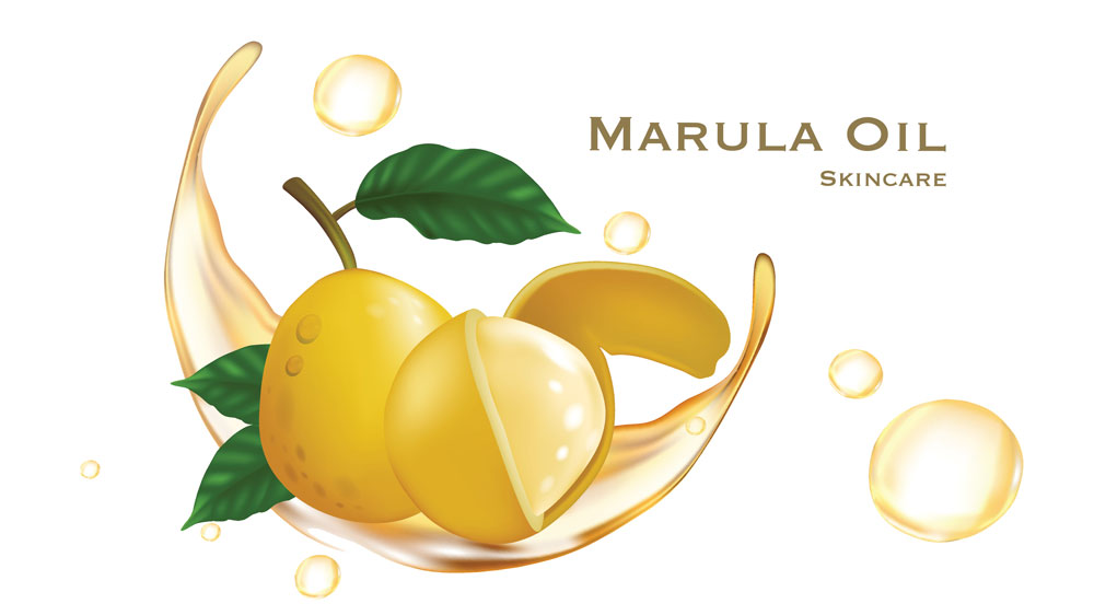 Marula Oil in Skincare: 6 Surprising Marula Oil Benefits